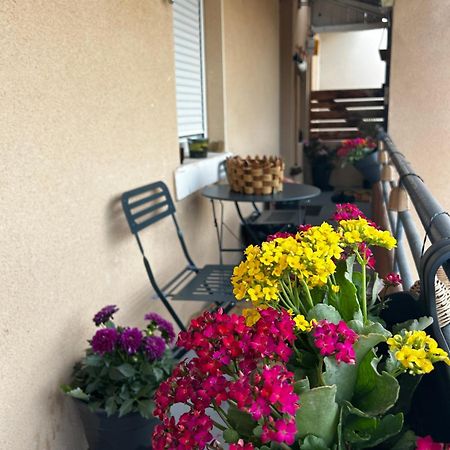 ג'יבור Appartement De Charme 80M2 מראה חיצוני תמונה