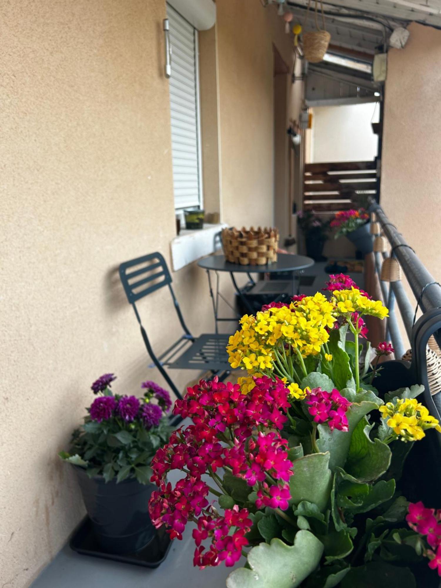 ג'יבור Appartement De Charme 80M2 מראה חיצוני תמונה